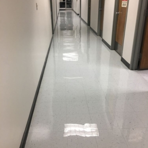 Photo of Sun City Floor Maintenance