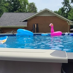 Photo of Paradise Pools and Spas