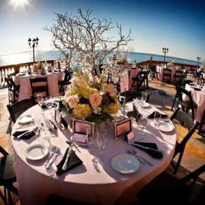 Photo of Concept Flowers