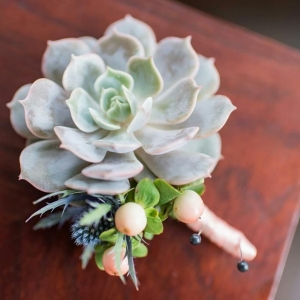 Photo of Concept Flowers