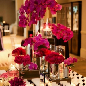 Photo of Concept Flowers