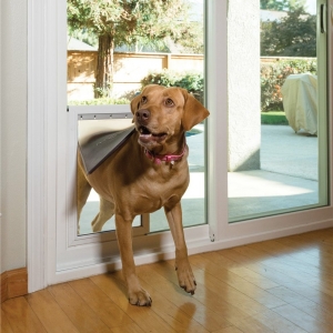 Tempe Optum Home Solutions