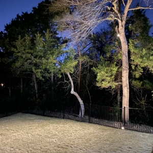 Photo of Nite FX Lighting