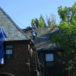 Photo of Apex Exterior Solutions