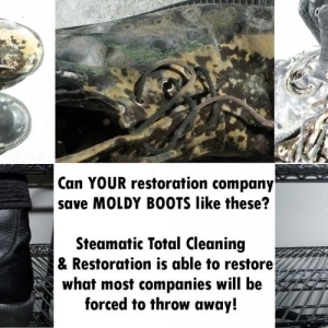 Photo of Steamatic of Southern Nevada