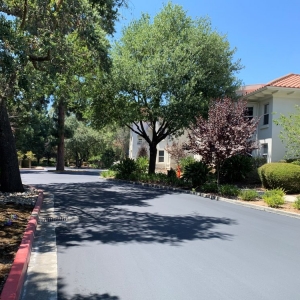 Photo of Calvac Paving
