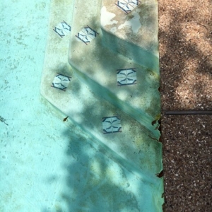 Photo of McKinney Pools