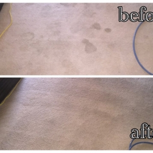 Photo of Come Clean Carpet Care