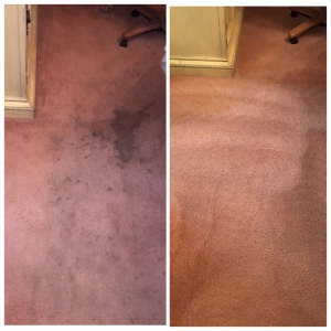 Photo of Come Clean Carpet Care
