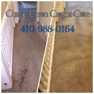 Photo of Come Clean Carpet Care