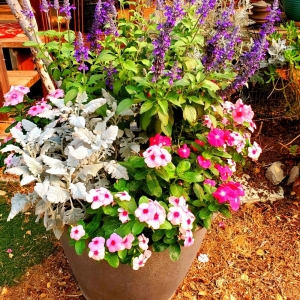 Photo of Mountain Creations