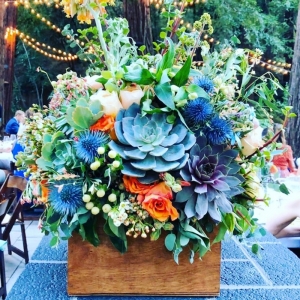 Photo of Mountain Creations
