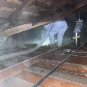 Photo of Attic Cali