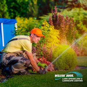 Photo of Wilcox Bros Lawn Sprinklers
