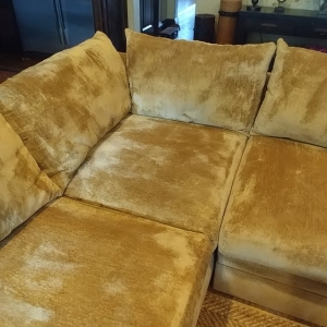 Photo of Angel Dry Carpet & Rug Cleaning