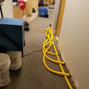 Novato BB Steam Cleaning