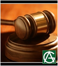 Photo of Attorney Adrian Guzman Law Offices