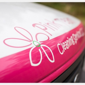 Photo of Pink Team Cleaning Services