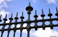 Photo of Aesthetic Fence & Deck Company