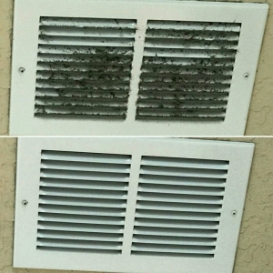 Photo of Clean to Please