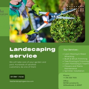 Photo of Best Landscaping Service