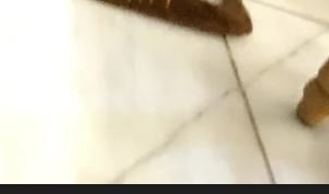 Photo of Marble Pro