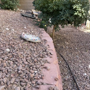 Photo of Pristine Property Services