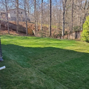 Manassas Amada Landscaping