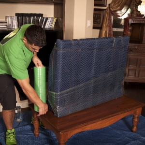 Photo of Green Gorilla Movers