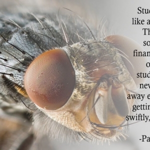 Photo of MoneyCoach
