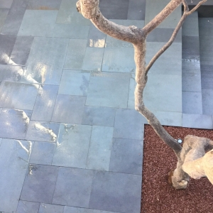 Photo of McFarland Tree, Landscape & Hardscape Services