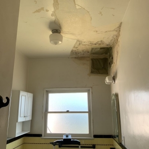 Photo of Mold Masters