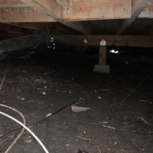 Photo of Mold Masters