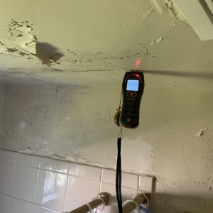 Photo of Mold Masters