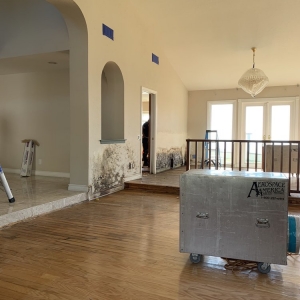 Los Angeles Mold Masters