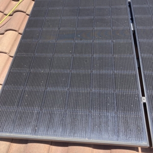 Photo of Pugnacious Solar Wash