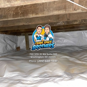 Photo of Crawl Space Brothers