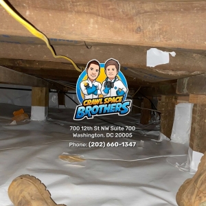 Photo of Crawl Space Brothers