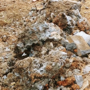 Photo of Solid As A Rock