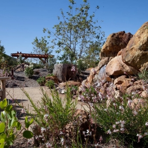 Photo of Urban Green Landscape Architecture