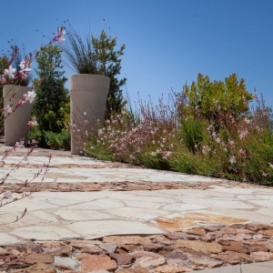 Photo of Urban Green Landscape Architecture