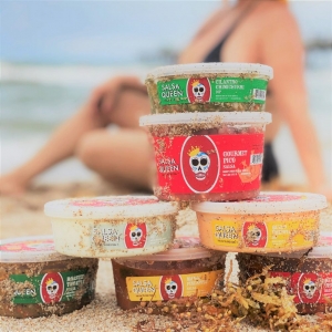 Photo of Salsa Queen