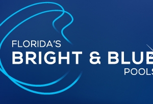 Photo of Florida's Bright & Blue Pools