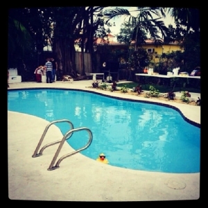 Photo of Florida's Bright & Blue Pools