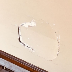 Photo of Affordable Drywall Solutions