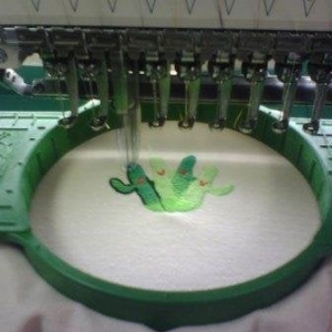 Photo of Arizona Cactus Needles Embroidery