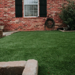 Photo of Always Greener