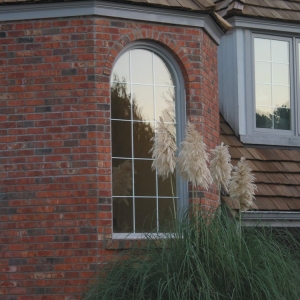 Photo of Clear Image Glass