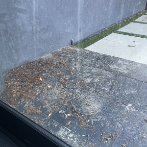Photo of Shamblin Softwash and Pressure Washing