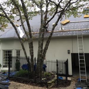 Photo of Alpha Roofing Industries